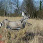 Natur Foam NATUR FOAM 3D TARGET ROEDEER - RUNNING