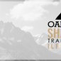 Oak Ridge OAK RIDGE SHADE V2 ILF RECURVE RISER DIAMONDWOOD