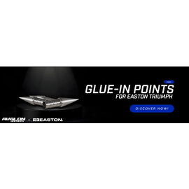 Avalon AVALON GLUE-IN POINT FOR EASTON TRIUMPH SHAFTS