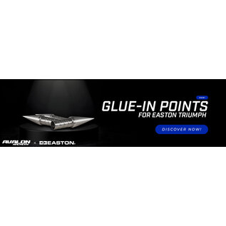 Avalon AVALON GLUE-IN POINT FOR EASTON TRIUMPH SHAFTS