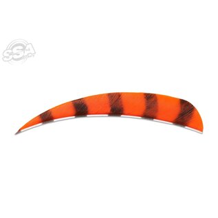 Buck Trail BUCK TRAIL ROUND 4" BARRED COLOR FEATHERS 100/PK