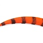 Buck Trail BUCK TRAIL ROUND 4" BARRED COLOR FEATHERS 100/PK