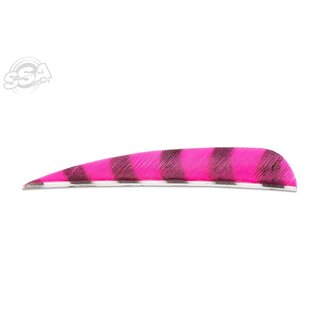 Buck Trail BUCK TRAIL ROUND 4" BARRED COLOR FEATHERS 100/PK