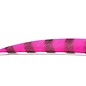 Buck Trail BUCK TRAIL ROUND 4" BARRED COLOR FEATHERS 100/PK