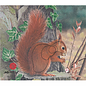 JVD JVD Target Face Animal Squirrel