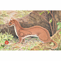 JVD JVD Target Face Animal Ermine