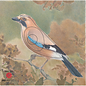 JVD JVD Target Face Animal Jay