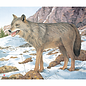 JVD JVD Target Face Animal Wolf