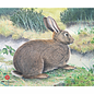JVD JVD Target Face Animal Rabbit