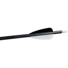 Core CORE JET ARROWS CARBON ID4.2