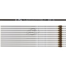 Avalon AVALON ARROWS CARBON TYRO 4.2 WITH VANES - NEW