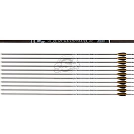 Avalon AVALON ARROWS CARBON TYRO 4.2 WITH VANES - NEW