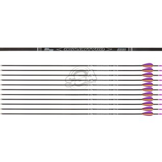 Avalon AVALON ARROWS CARBON TYRO 4.2 WITH VANES - NEW