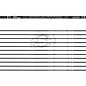 Avalon AVALON ARROWS CARBON TYRO 4.2 WITH VANES - NEW
