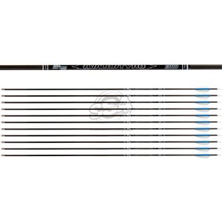 Avalon AVALON ARROWS CARBON TYRO 4.2 WITH VANES - NEW