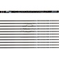 Avalon AVALON ARROWS CARBON TYRO 4.2 WITH VANES - NEW