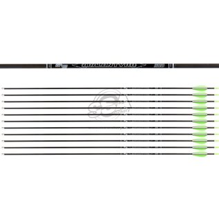 Avalon AVALON ARROWS CARBON TYRO 4.2 WITH VANES - NEW