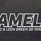 SRT SRT 3D TARGET CHAMELEON - GROUP 4 - L43cm H55cm
