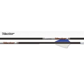 Easton ARROWS VECTOR 2" FEATHERS AND INSTALLED POINT 72/PK