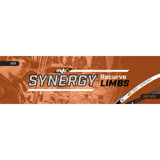 Mybo MYBO SYNERGY CARBON FOAM RECURVE LIMBS
