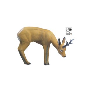 SRT SRT 3D TARGET ROEBUCK GRAZING - GROUP 2 - L96CM H72CM