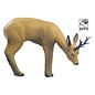 SRT SRT 3D TARGET ROEBUCK GRAZING - GROUP 2 - L96CM H72CM