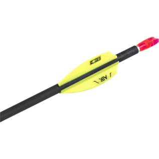 Flex Archery FLEX ARCHERY I-NOCK PIN 24/PK