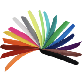 Bearpaw BEARPAW FEATHERS FULL LENGTH LW SOLID COLORS 50/PK
