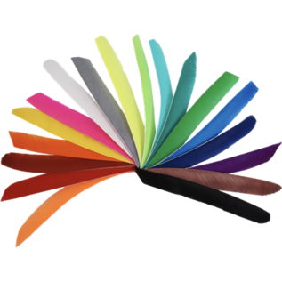 Bearpaw BEARPAW FEATHERS FULL LENGTH LW SOLID COLORS 50/PK