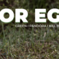 Beier BEIER 3D TARGET RAPTOR EGG