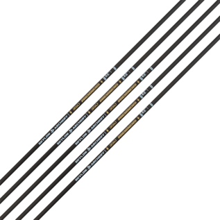 Skylon Skylon Preminens - ID3.2 - 12 Shafts