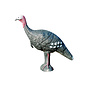 Eleven Eleven 3D Target Turkey