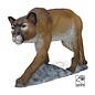 SRT SRT 3D TARGET PUMA MOUNTAIN LION - GROUP 1 - L142cm H70cm