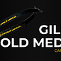 Gillo GILLO Q8 TARGET CARBON FOAM RECURVE LIMBS