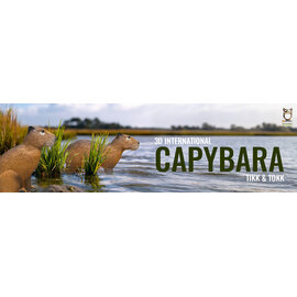3D-INTERNATIONAL 3DI 3D TARGET CAPYBARA- GROUP 4