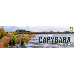 3D-INTERNATIONAL 3DI 3D TARGET CAPYBARA- GROUP 4