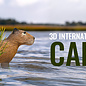 3D-INTERNATIONAL 3DI 3D TARGET CAPYBARA- GROUP 4