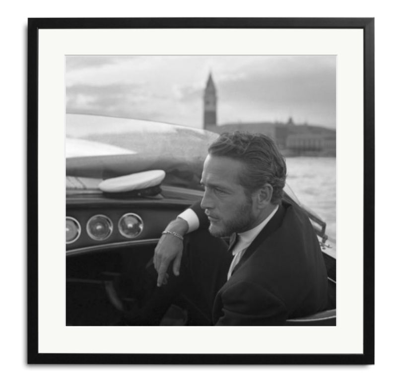 Paul Newman Wilhelmina Designs