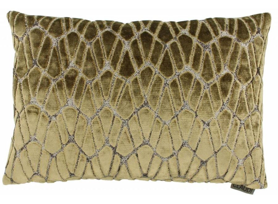 Decorative cushion Rodolfo Gold