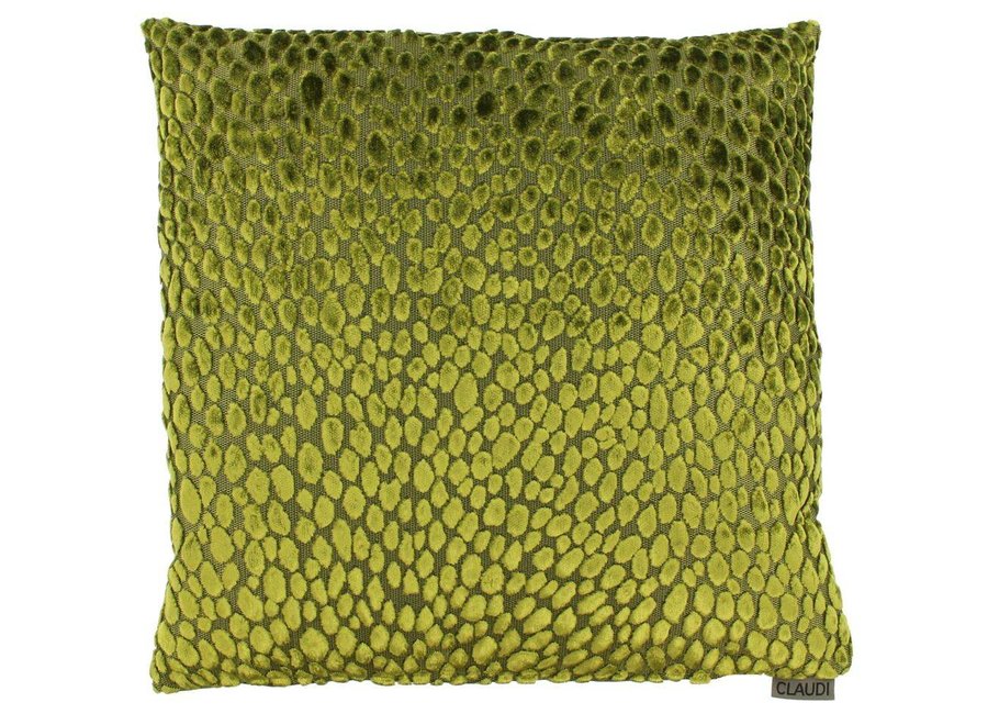 Decorative cushion Speranza Olive