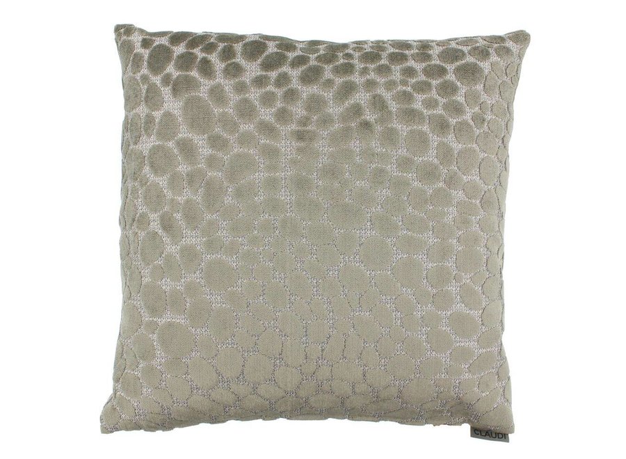 Cushion Pasqualle in color  Taupe