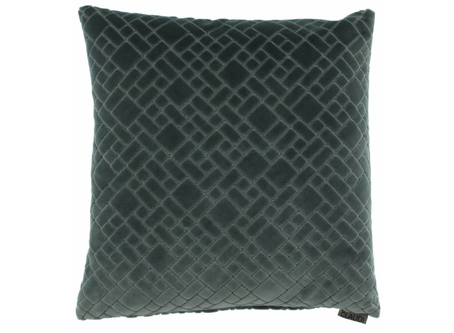 Cushion Assane in color Grey Mint
