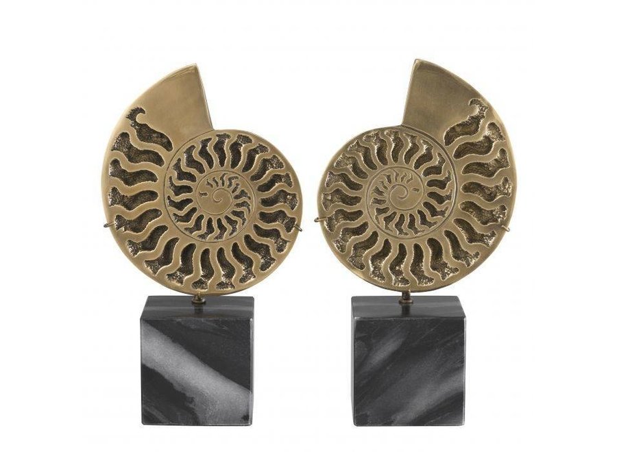 Decoration object 'Ammonite' set of 2