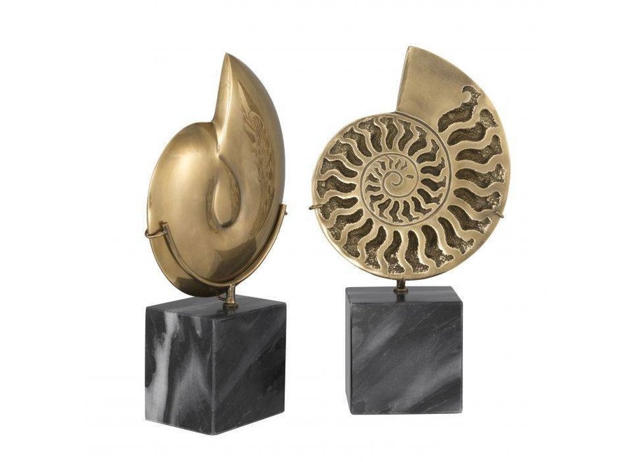 Decoration object 'Ammonite' set of 2