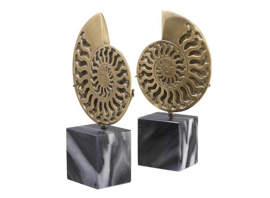 Objet déco 'Ammonite' lot de 2