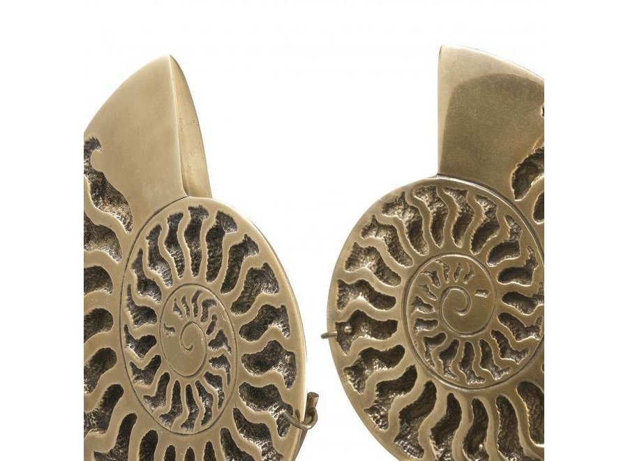 Decoration object 'Ammonite' set of 2