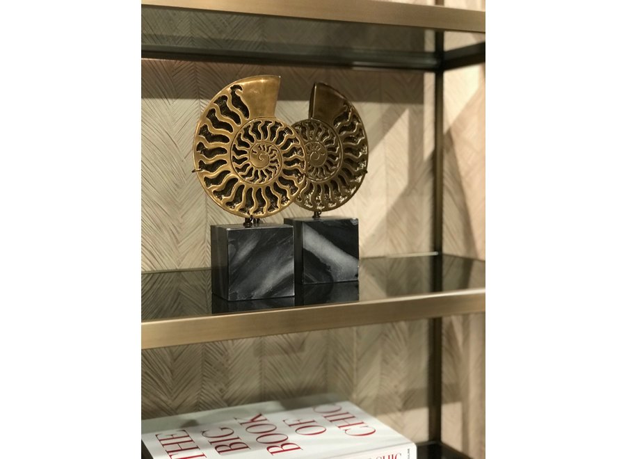 Objet déco 'Ammonite' lot de 2