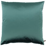 Petrol