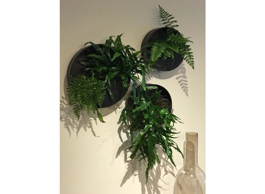 Wall planter in zwart metaal 'Vinca'  - rond - M