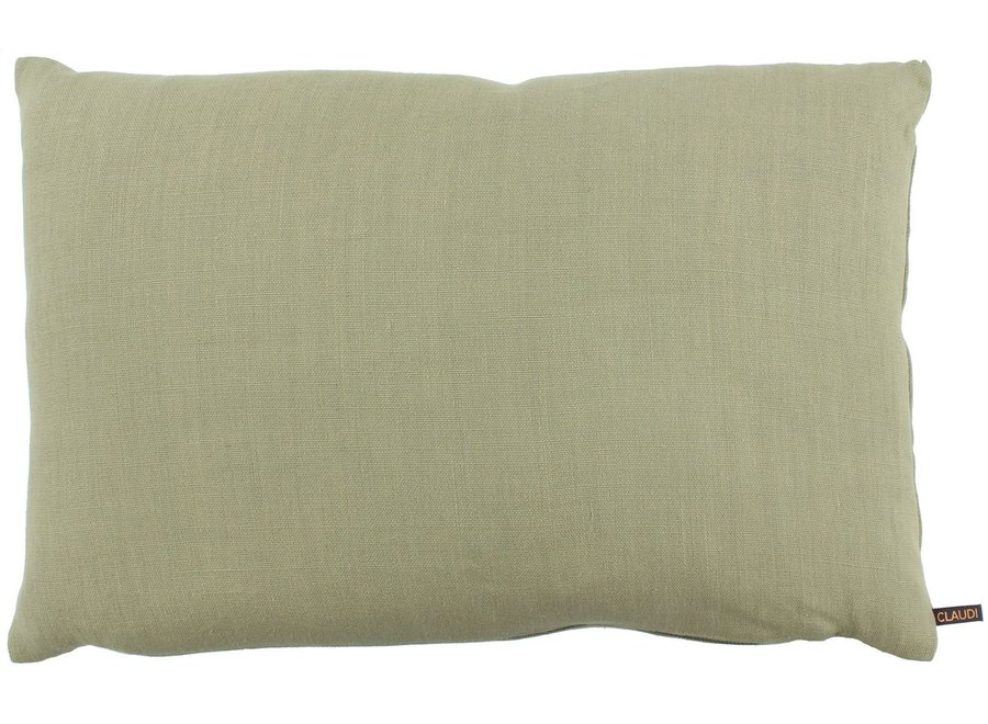 Coussin décoratif Evanna Light Olive